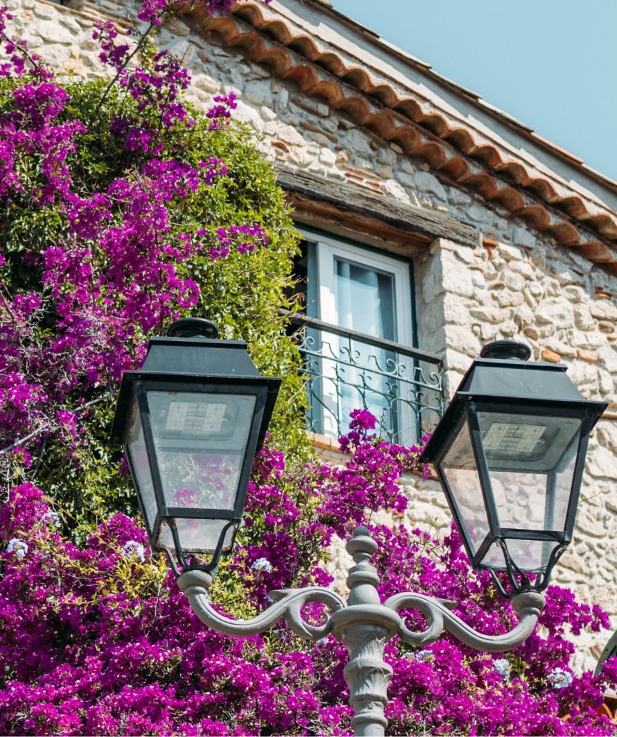 Bougainvillier fleuri et lanternes dans le Vieil Antibes